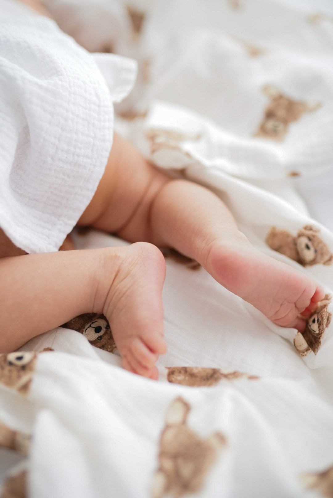 Семейные. Фотограф Виолетта Матевосян