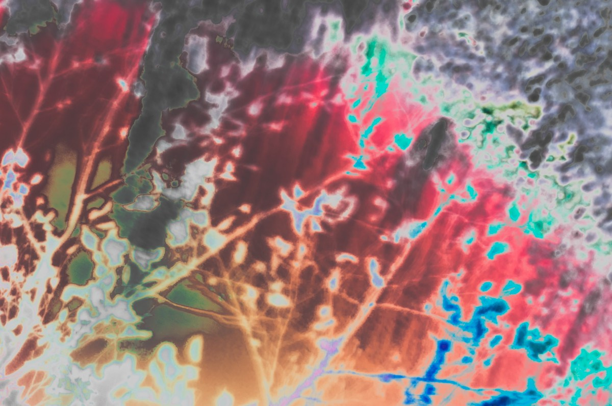 Magic forest. ПЕТР ПОПОВ | VISUAL ARTIST