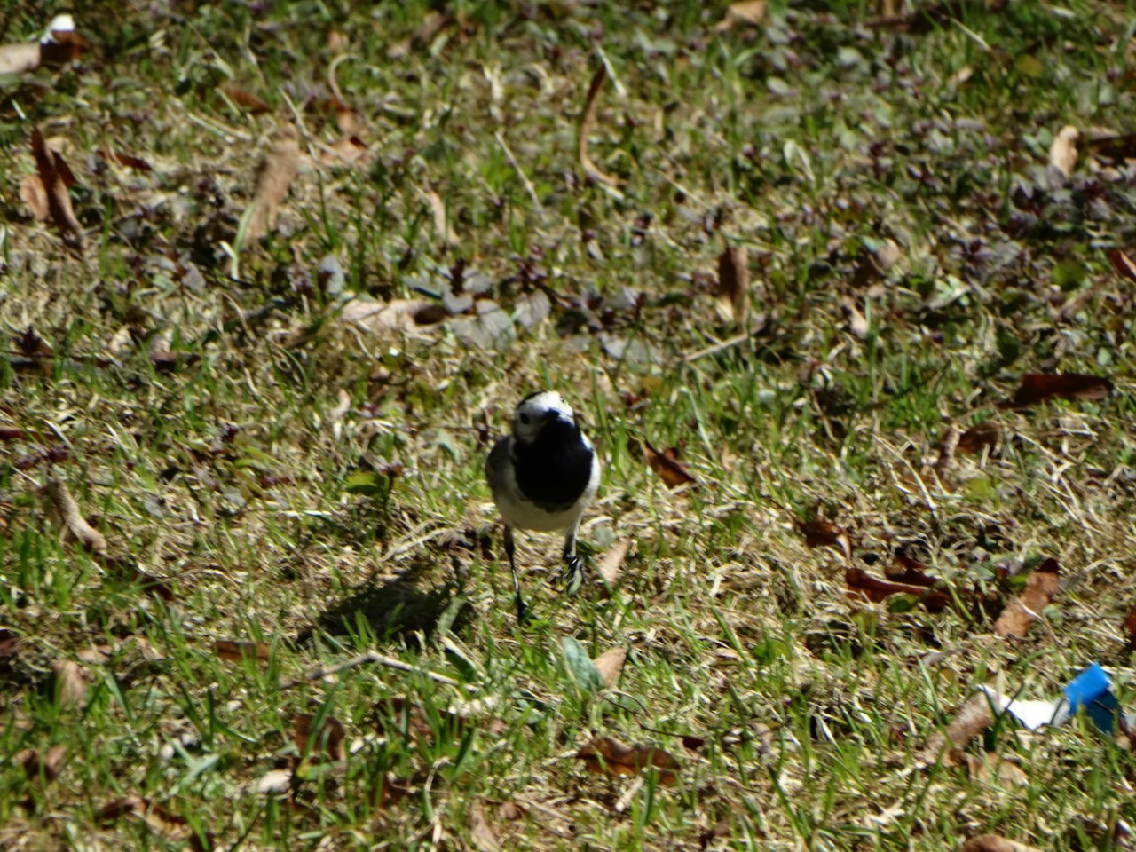«Весенний переполох» Загородный выезд | 16-17.04.2016. Галерея Фантим
