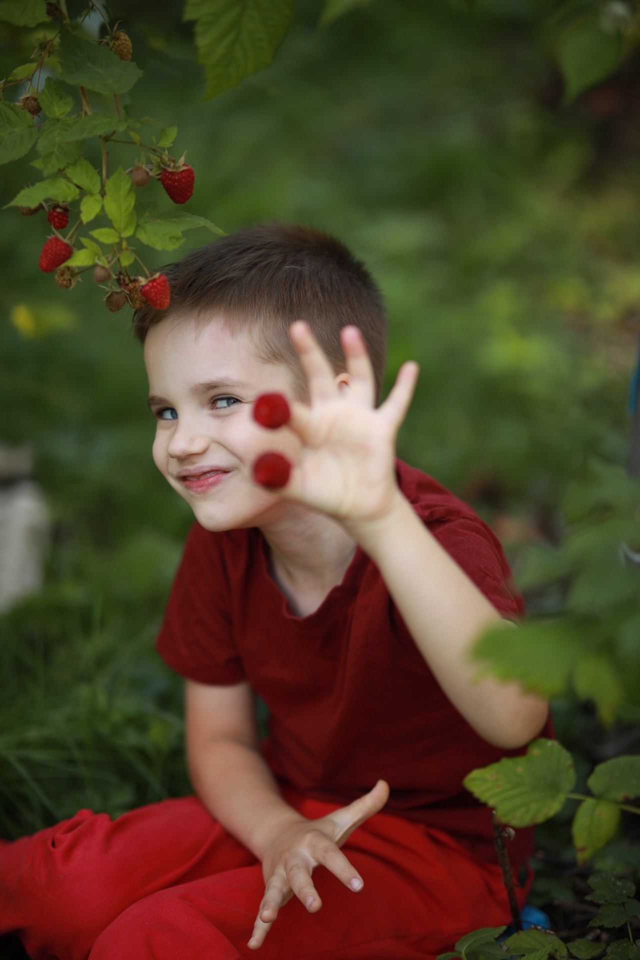 Ягода-малина. Фотограф Юлия Рязанова Москва семейный и детский