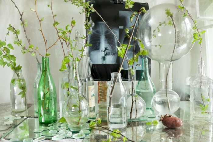 Quite still. Янина болдырева Yanina Boldyreva