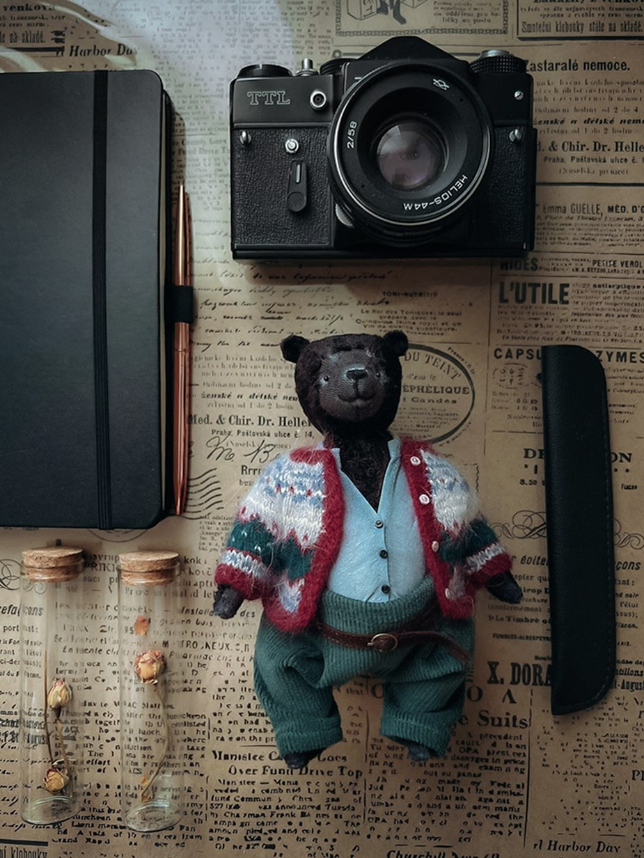 Тедди. Фотограф Ольга Сальманович