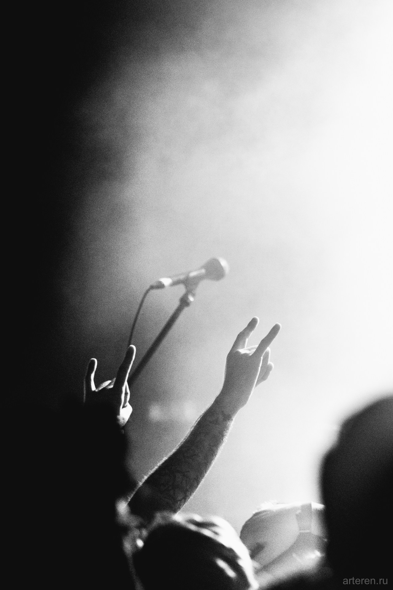 Concerts. Photography & videography all around the world