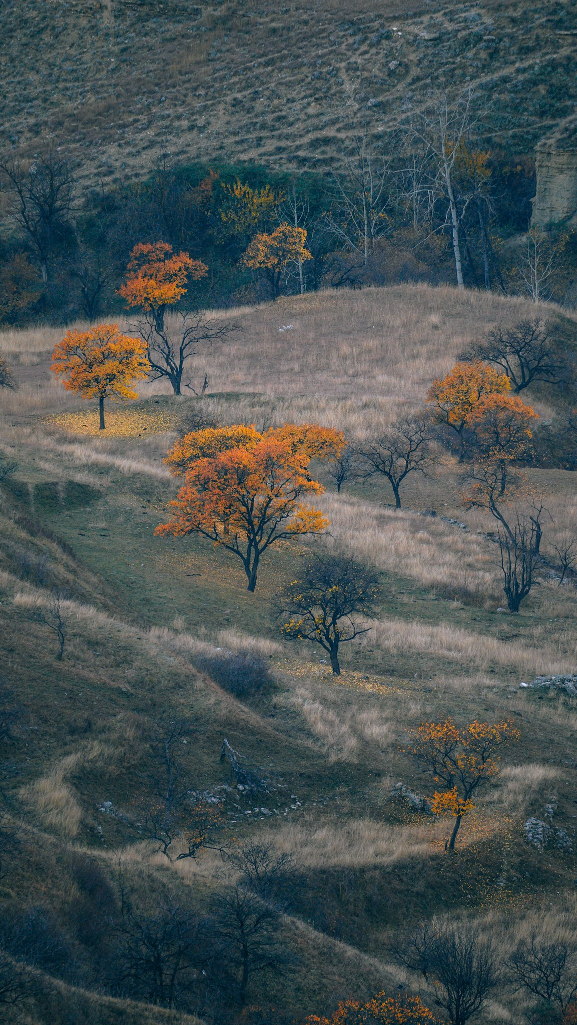 Дагестан 2023. Человек с фотокамерой
