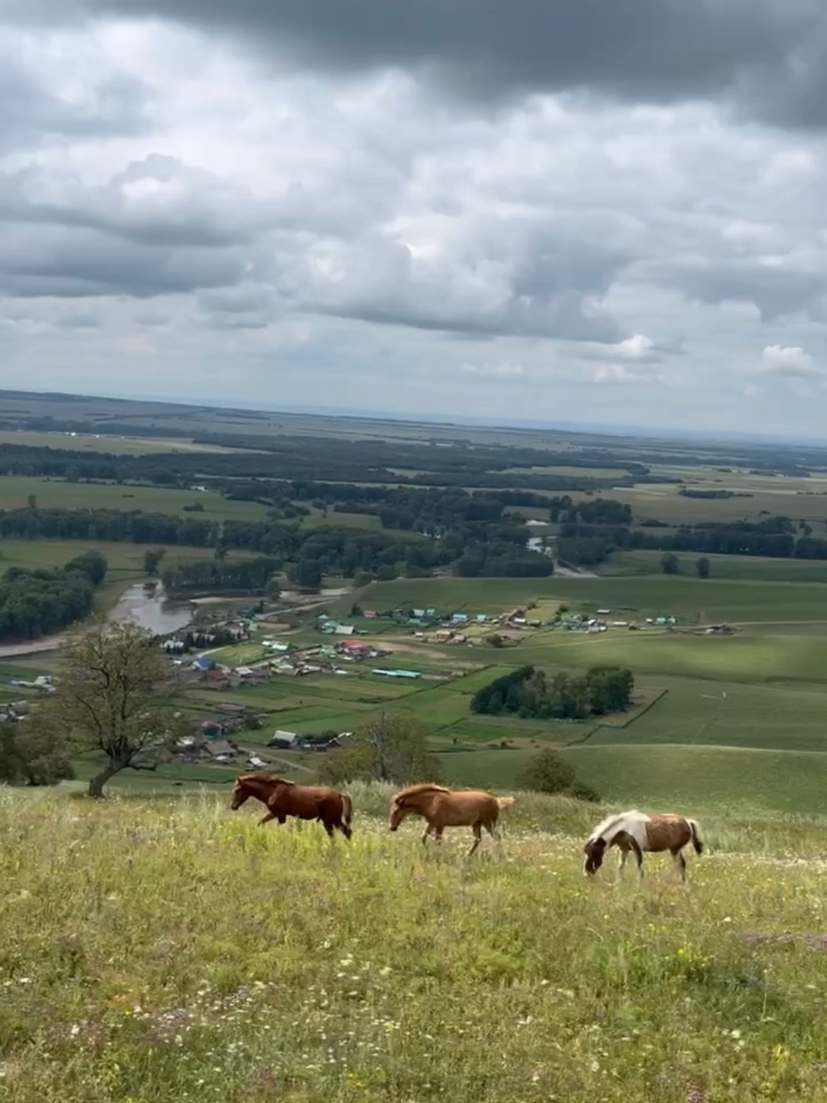 Конный тур к скале Уклы-Кая из Уфы — Время приключений