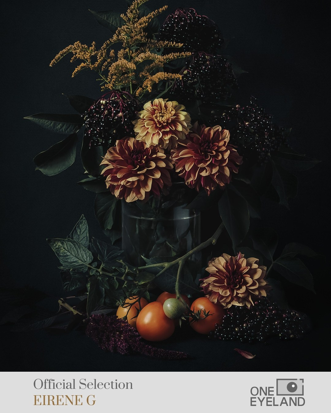 ONEEYELAND GALLERY. Eirene G |  Photoartist | Flowers from my garden