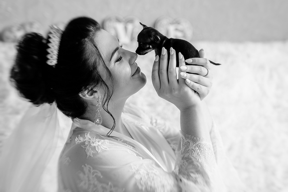 Свадебный фотограф не дорого. Свадебный фотограф в Дубне Алексей Фонарёв