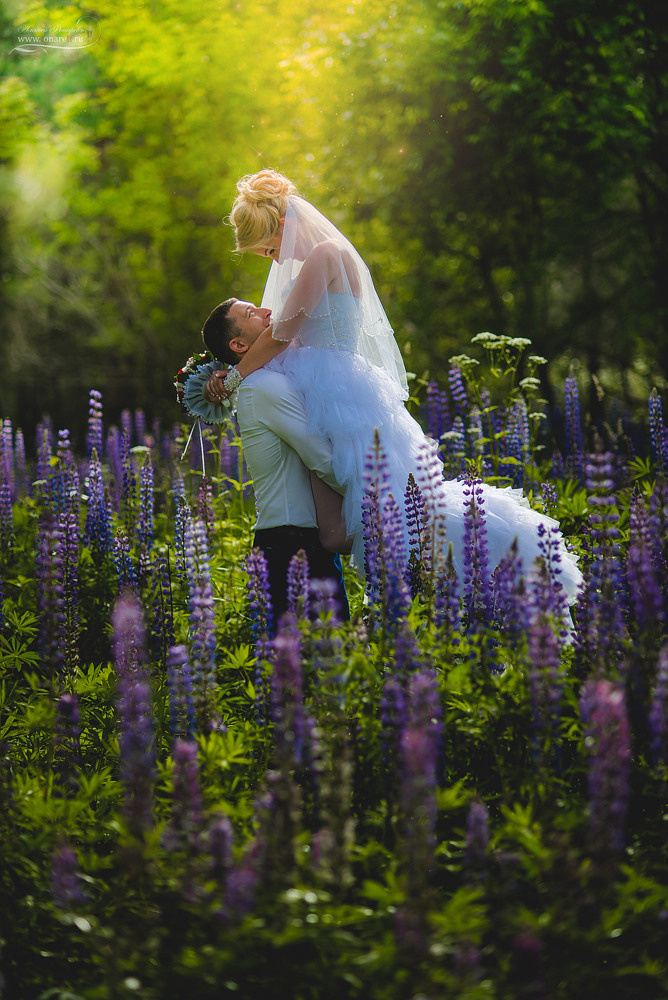 Свадебный фотограф не дорого. Свадебный фотограф в Дубне Алексей Фонарёв