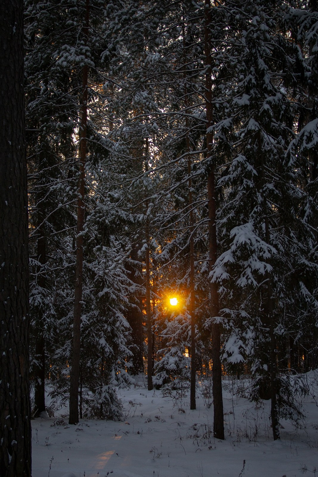 Vyksa. ФОТОГРАФ ANASTASIA KOSHELEVA