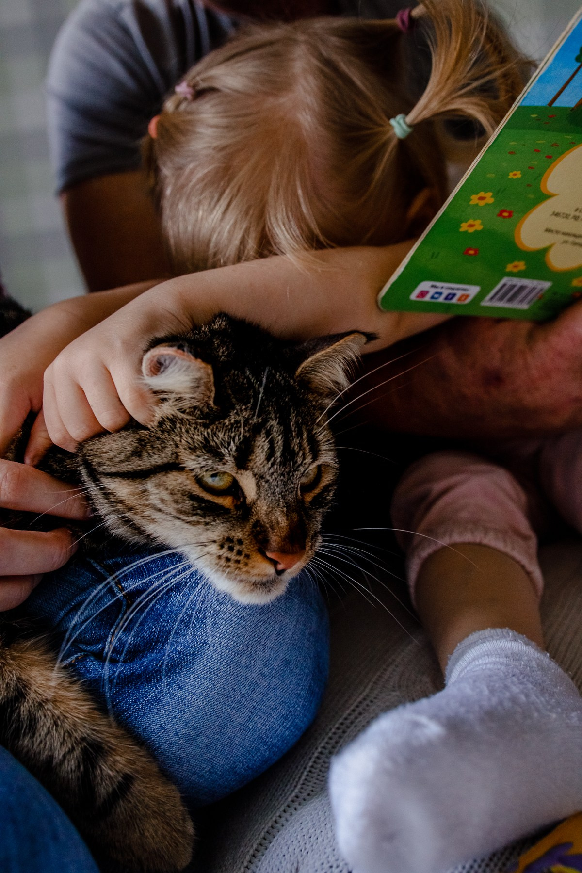 Галина, Янис и Вероника — семейный альбом. Семейный фотограф Новороссийск, Анапа, Геленджик — Юлия Давыдова