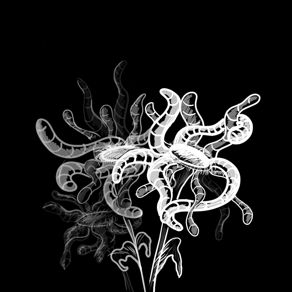ART. V