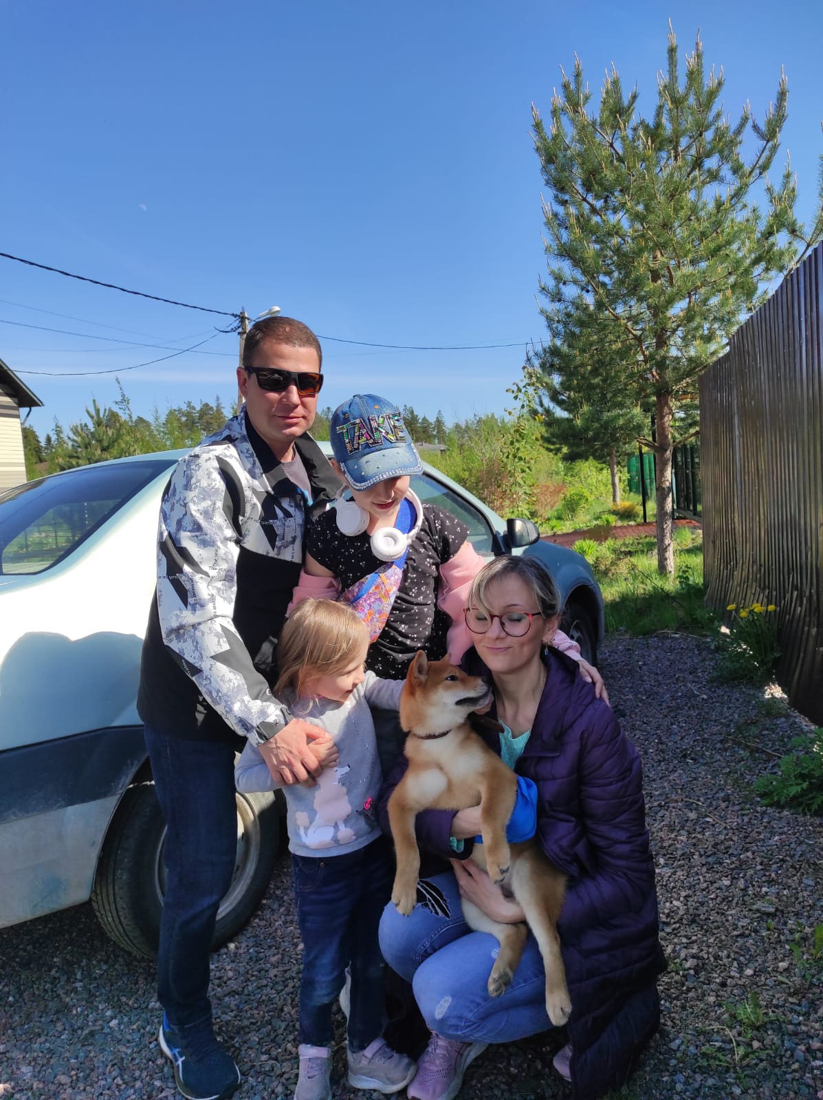 сиба питомник Рубилайт щенки на продажу rubylight  сиба щенки купить