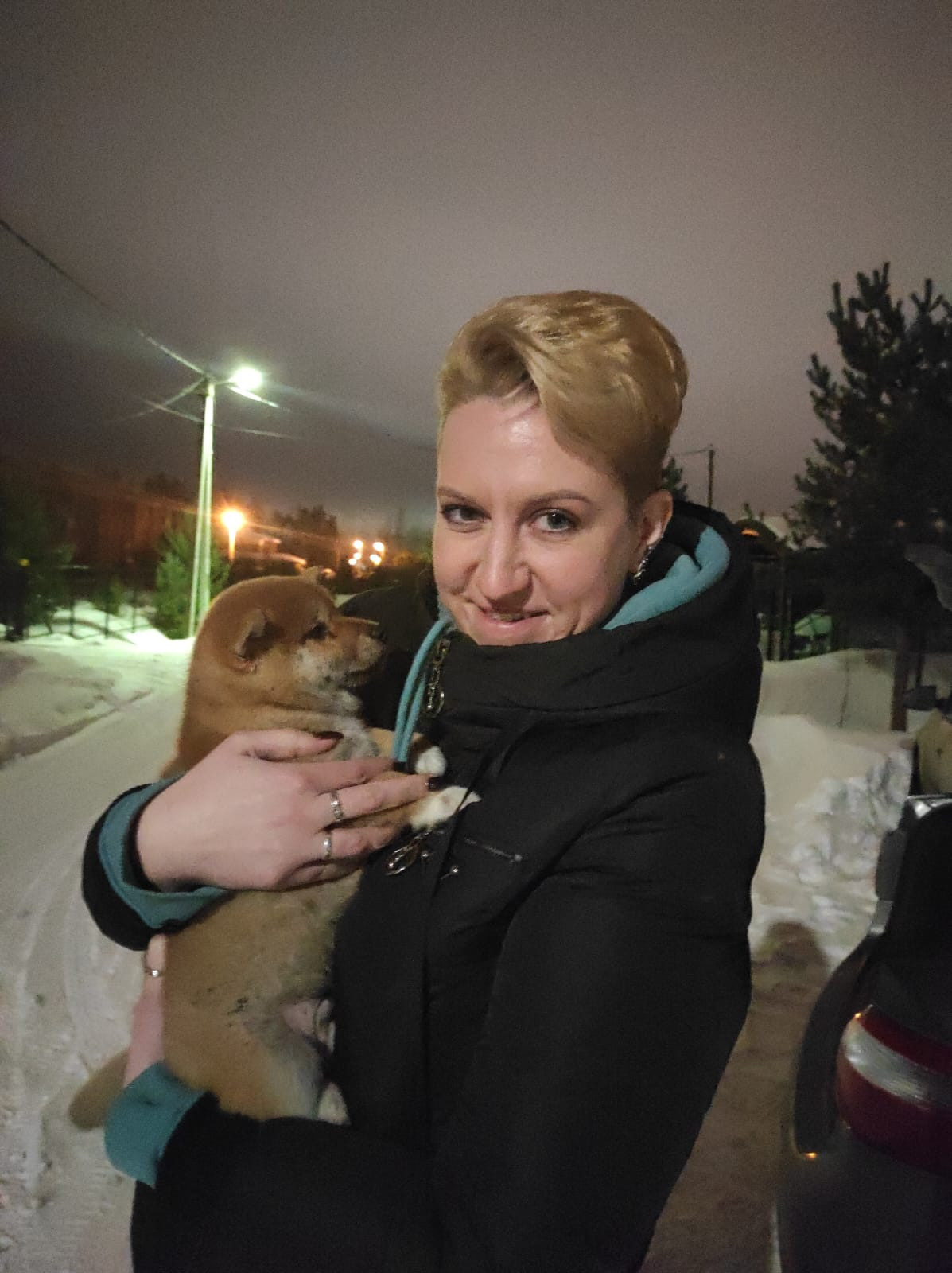 сиба питомник Рубилайт щенки на продажу rubylight  сиба щенки купить Шиба сиба-ину