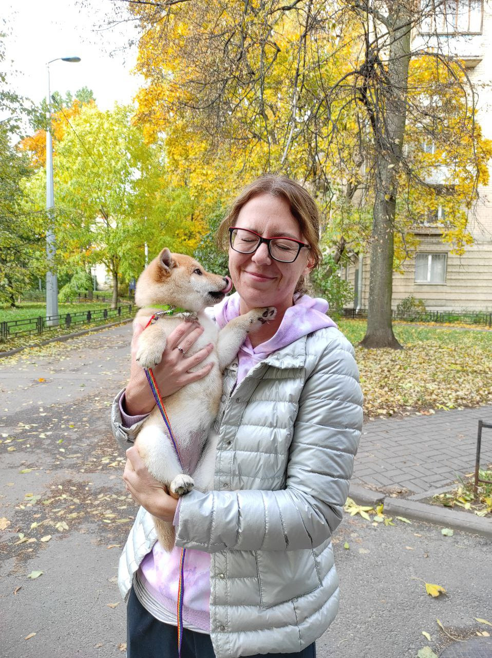 сиба питомник Рубилайт щенки на продажу rubylight  сиба щенки купить Шиба сиба-ину