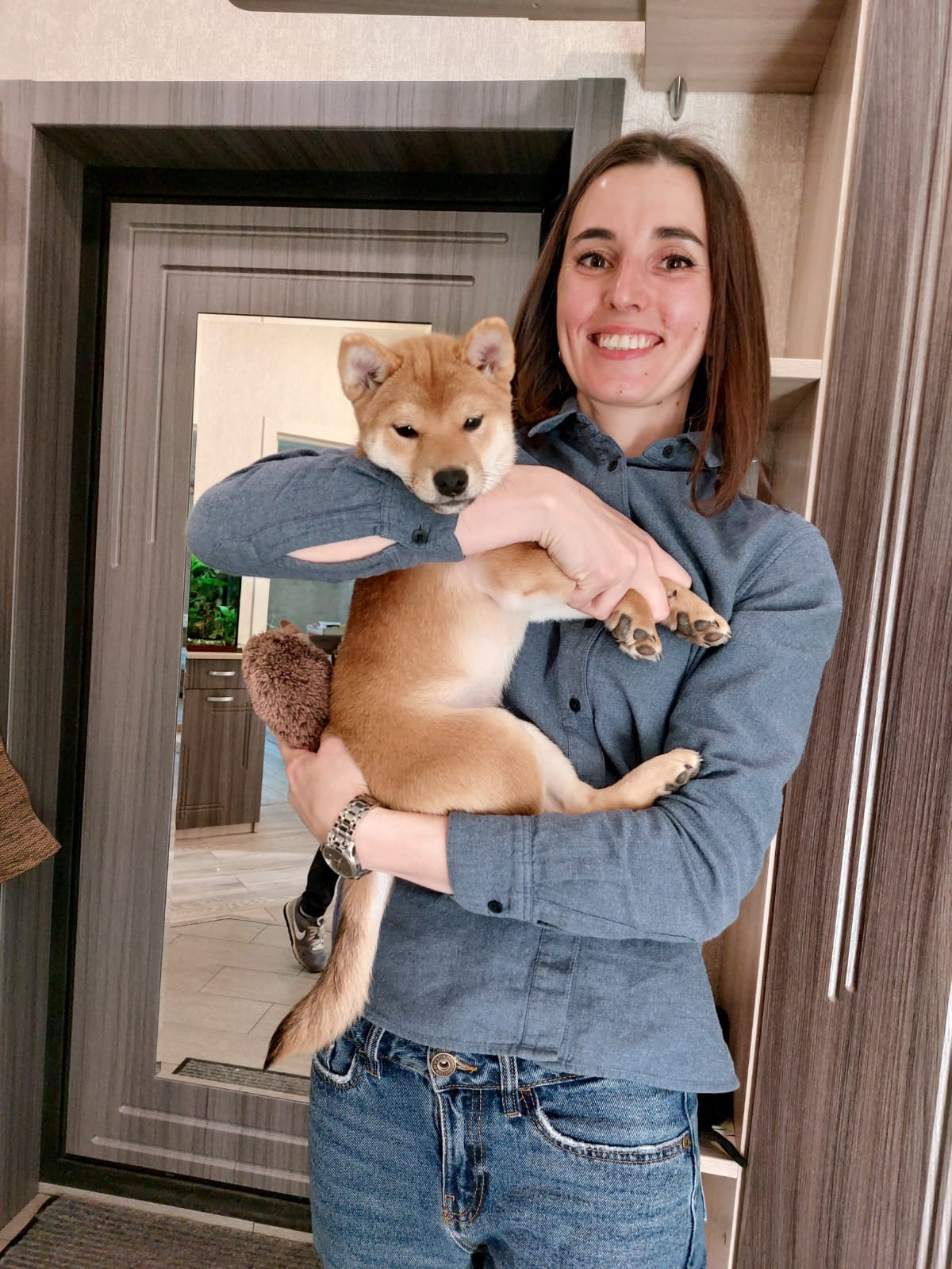 сиба питомник Рубилайт щенки на продажу rubylight  сиба щенки купить