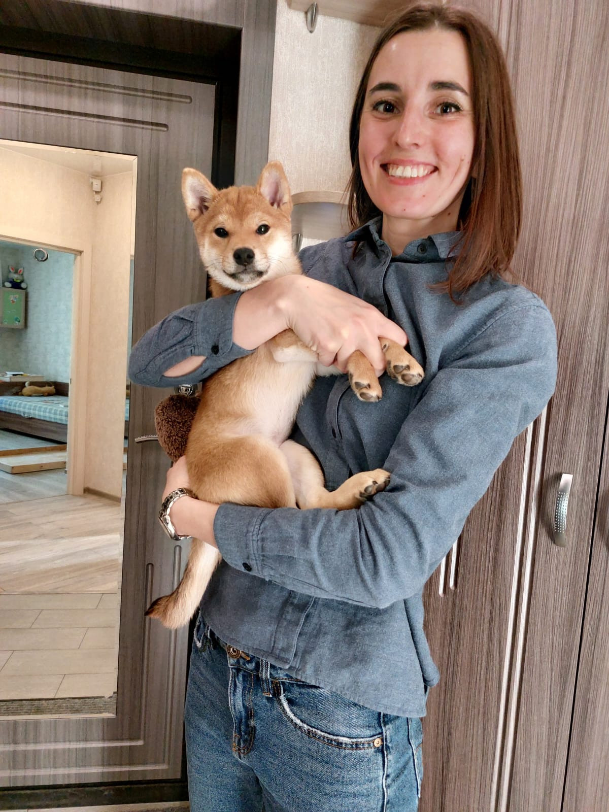 сиба питомник Рубилайт щенки на продажу rubylight  сиба щенки купить