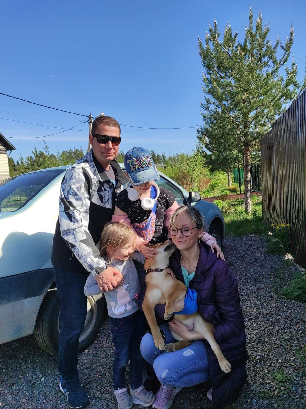 сиба питомник Рубилайт щенки на продажу rubylight  сиба щенки купить