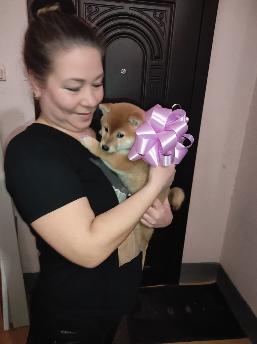 RUBYLIGHT Rika сиба питомник Рубилайт 