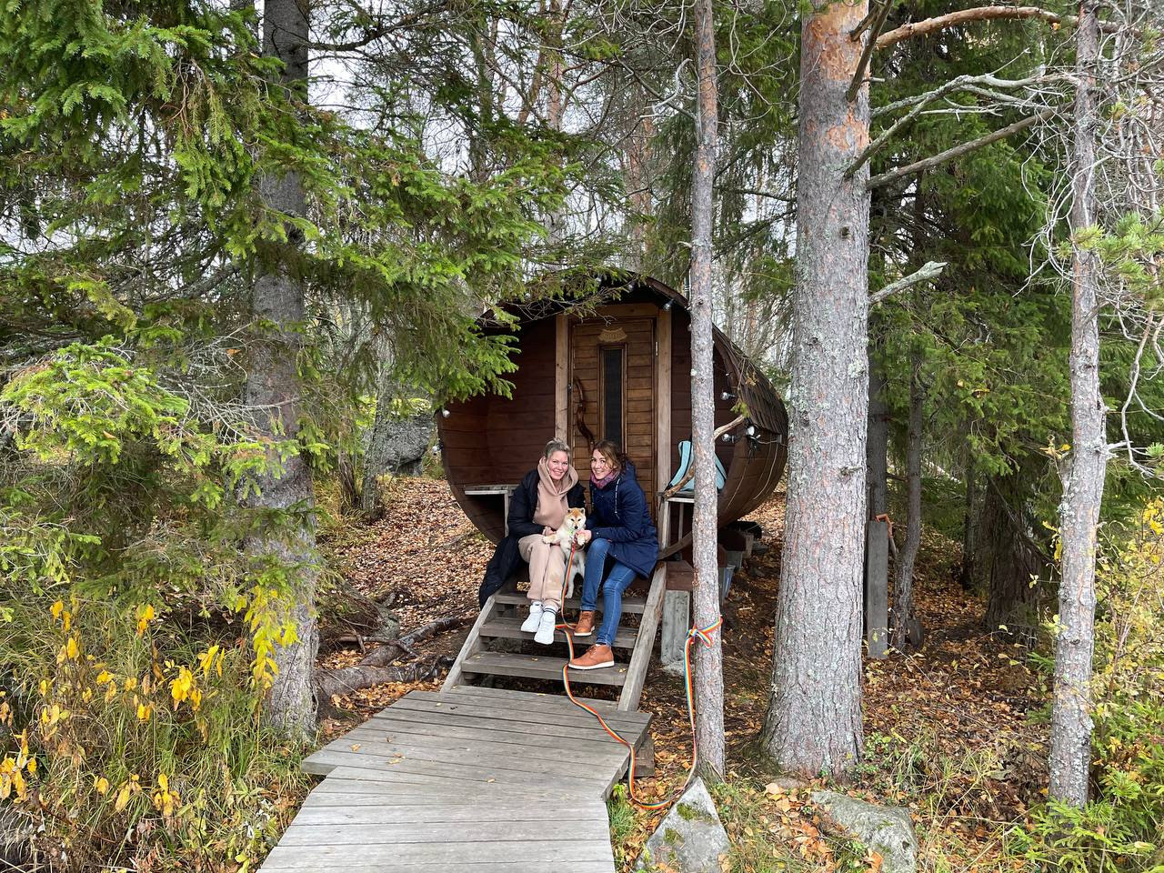 сиба питомник Рубилайт щенки на продажу rubylight  сиба щенки купить Шиба сиба-ину