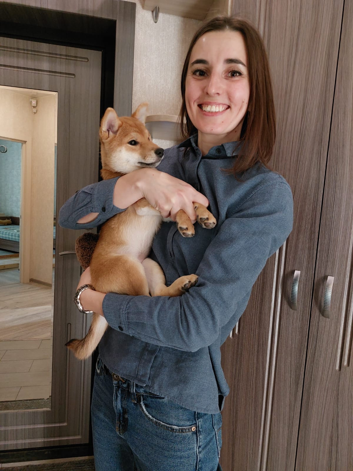 сиба питомник Рубилайт щенки на продажу rubylight  сиба щенки купить