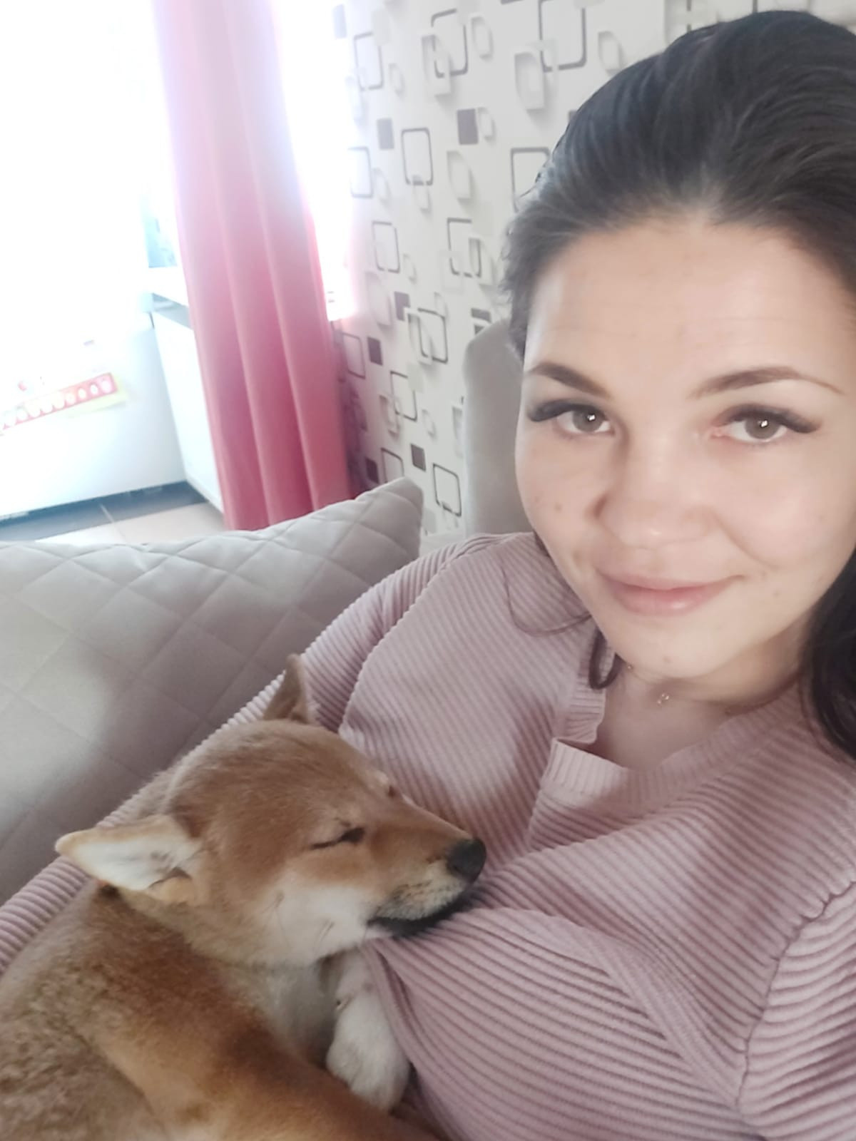 сиба питомник Рубилайт щенки на продажу rubylight  сиба щенки купить