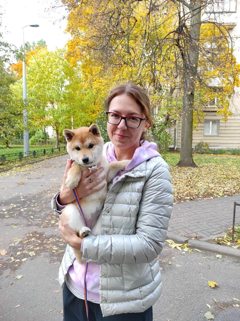 сиба питомник Рубилайт щенки на продажу rubylight  сиба щенки купить Шиба сиба-ину