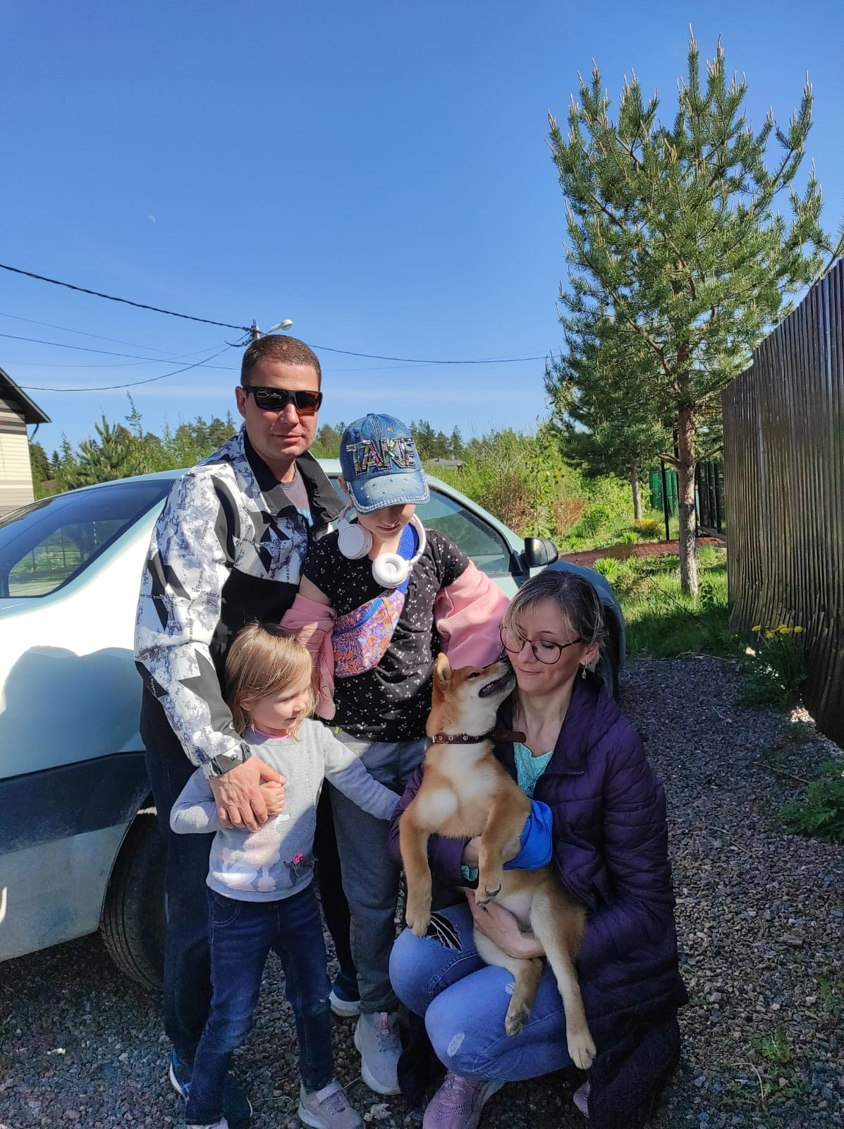 сиба питомник Рубилайт щенки на продажу rubylight  сиба щенки купить