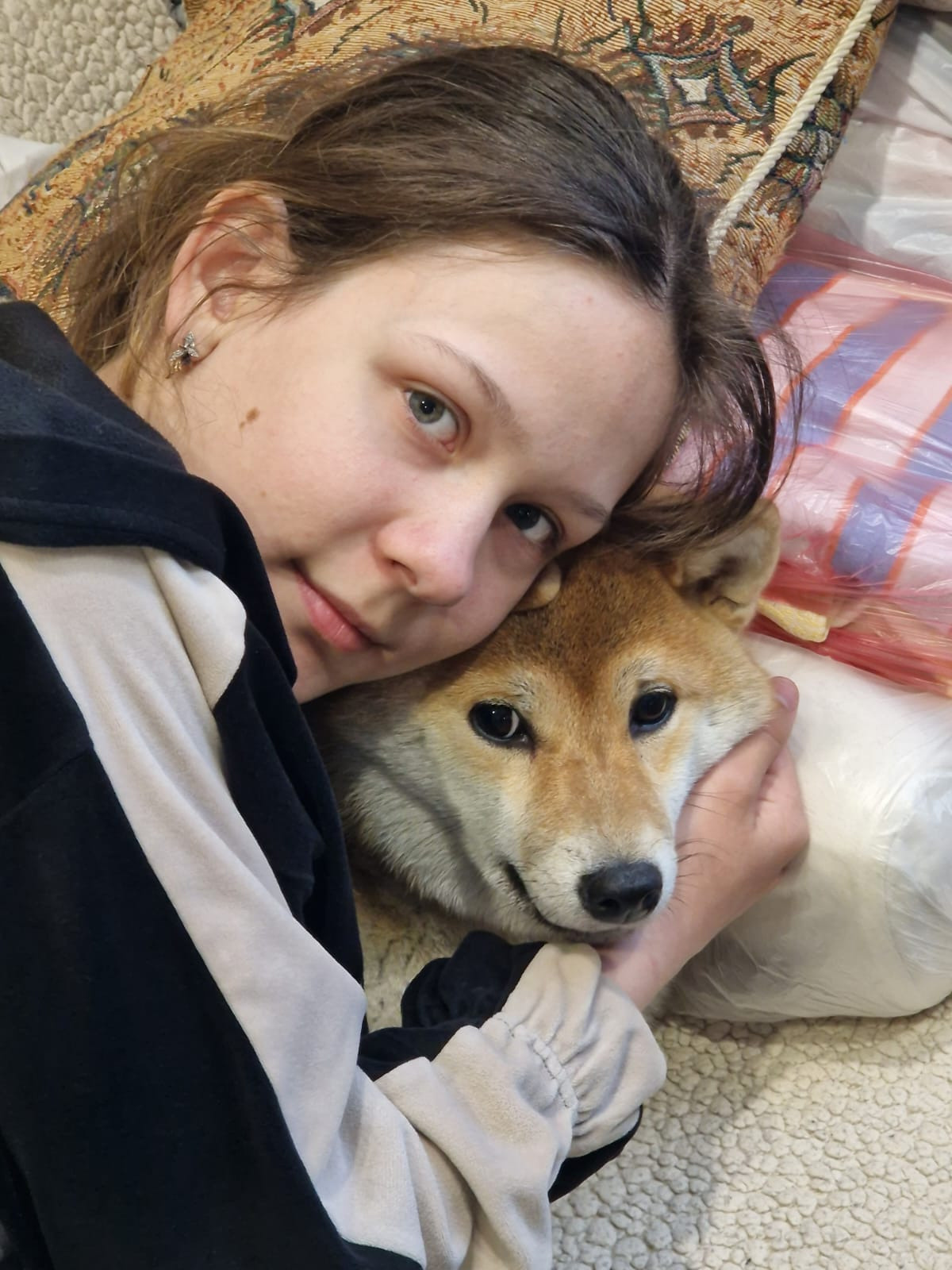 RUBYLIGHT Rika сиба питомник Рубилайт 