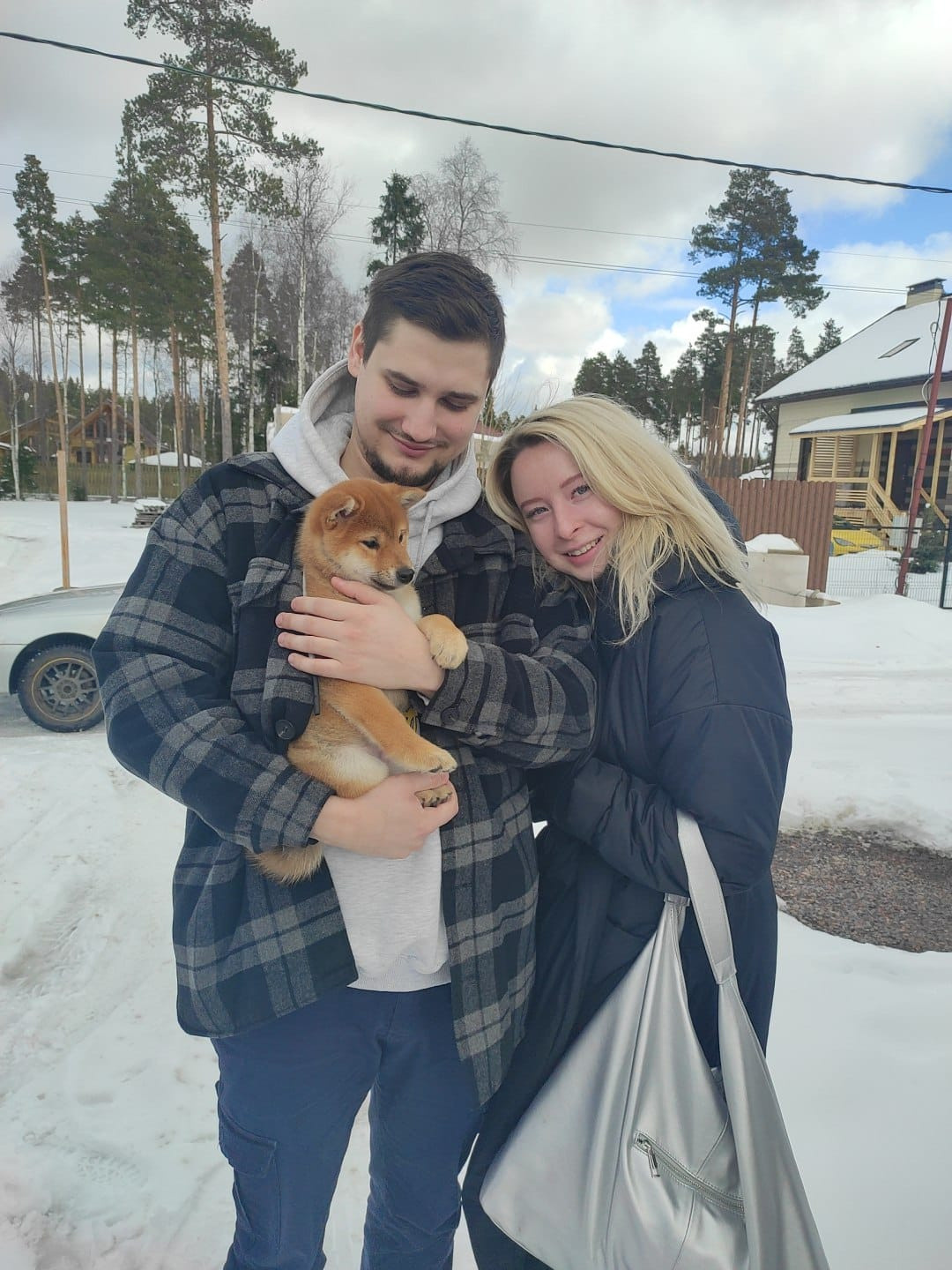 сиба питомник Рубилайт щенки на продажу rubylight  сиба щенки купить