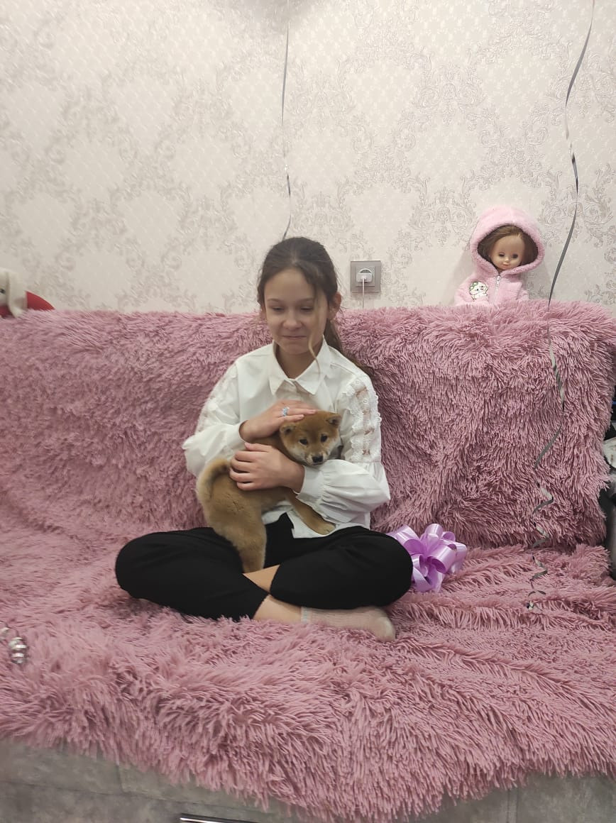 RUBYLIGHT Rika сиба питомник Рубилайт 