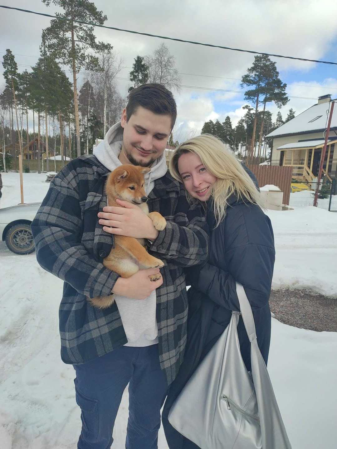 сиба питомник Рубилайт щенки на продажу rubylight  сиба щенки купить