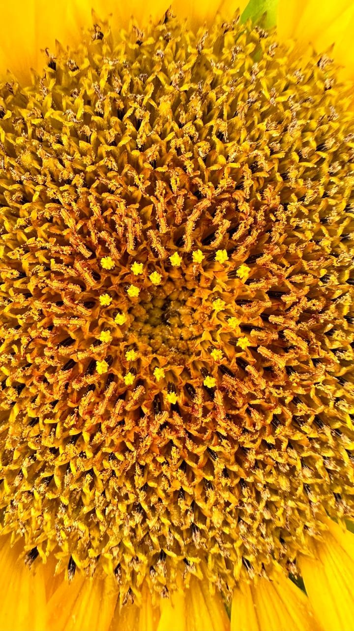 КУРС ПО ФОТО/ВИДЕО СЪЕМКЕ «СЧАСТЬЕ В ПРОСТОМ». Фотография. Визуально-чувственный мир души