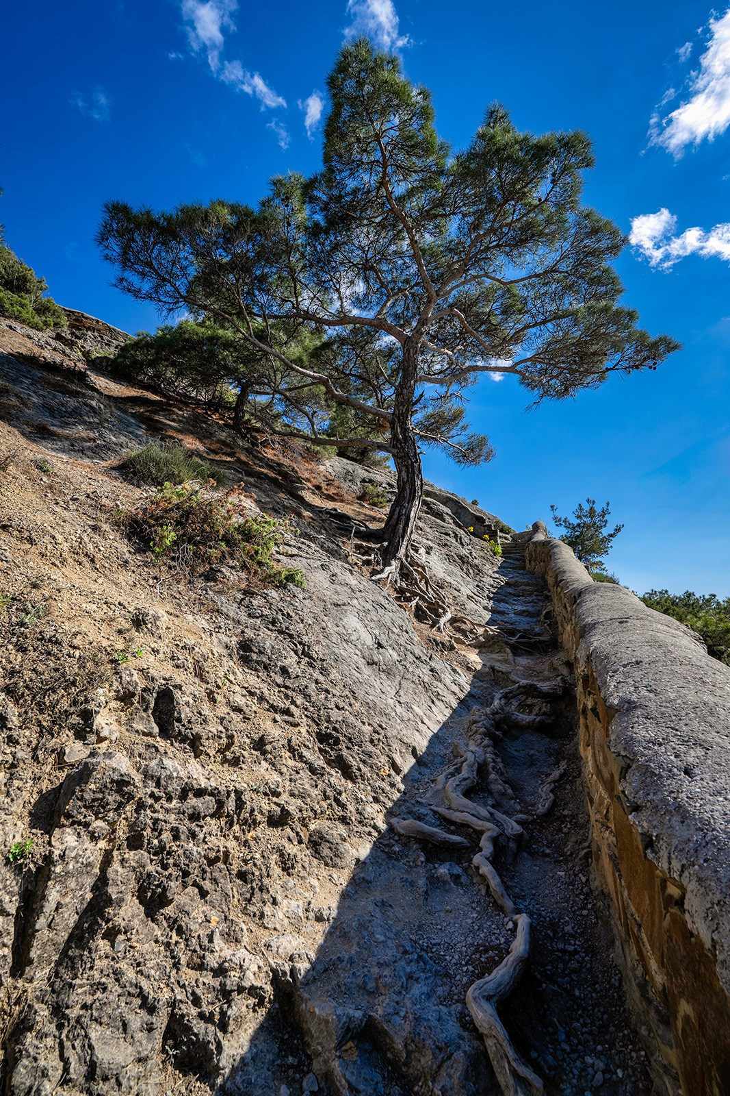 Крым, Россия. Фотограф Владимир Остапенко