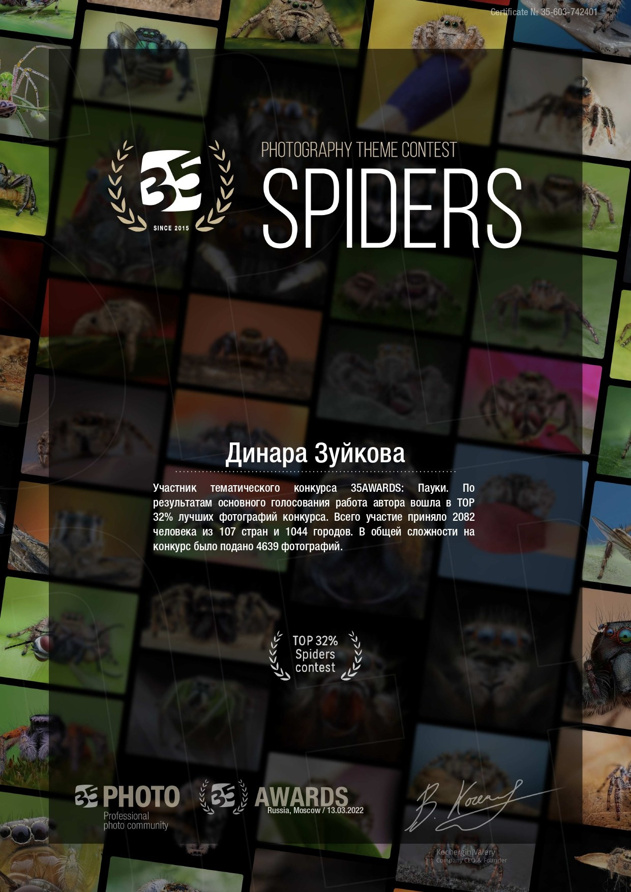 Дипломы. Мотофотограф в Нижнем Новгороде Динара Зуйкова