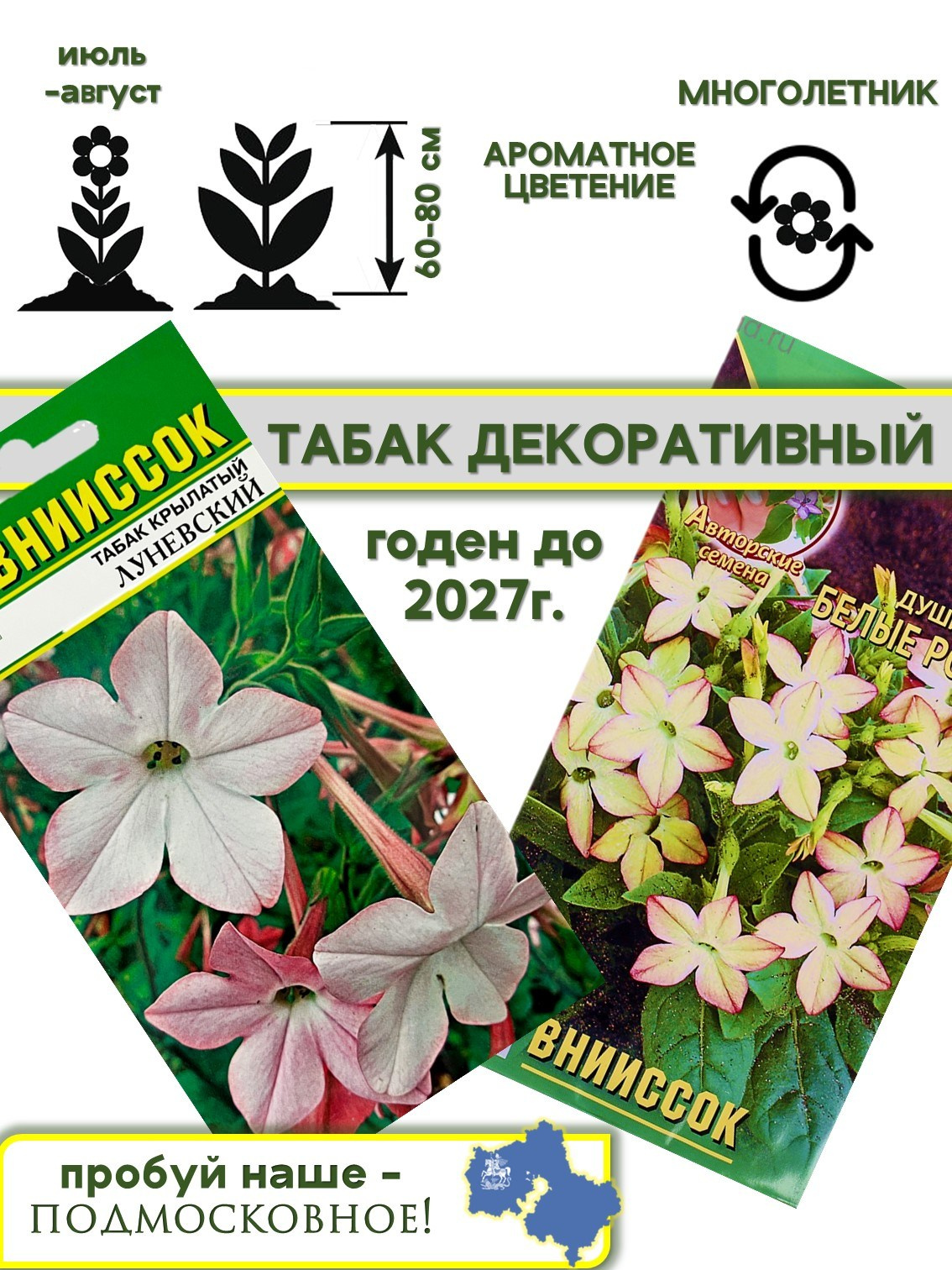 Инфографика. Фотограф в Москве Дмитровская Дарья