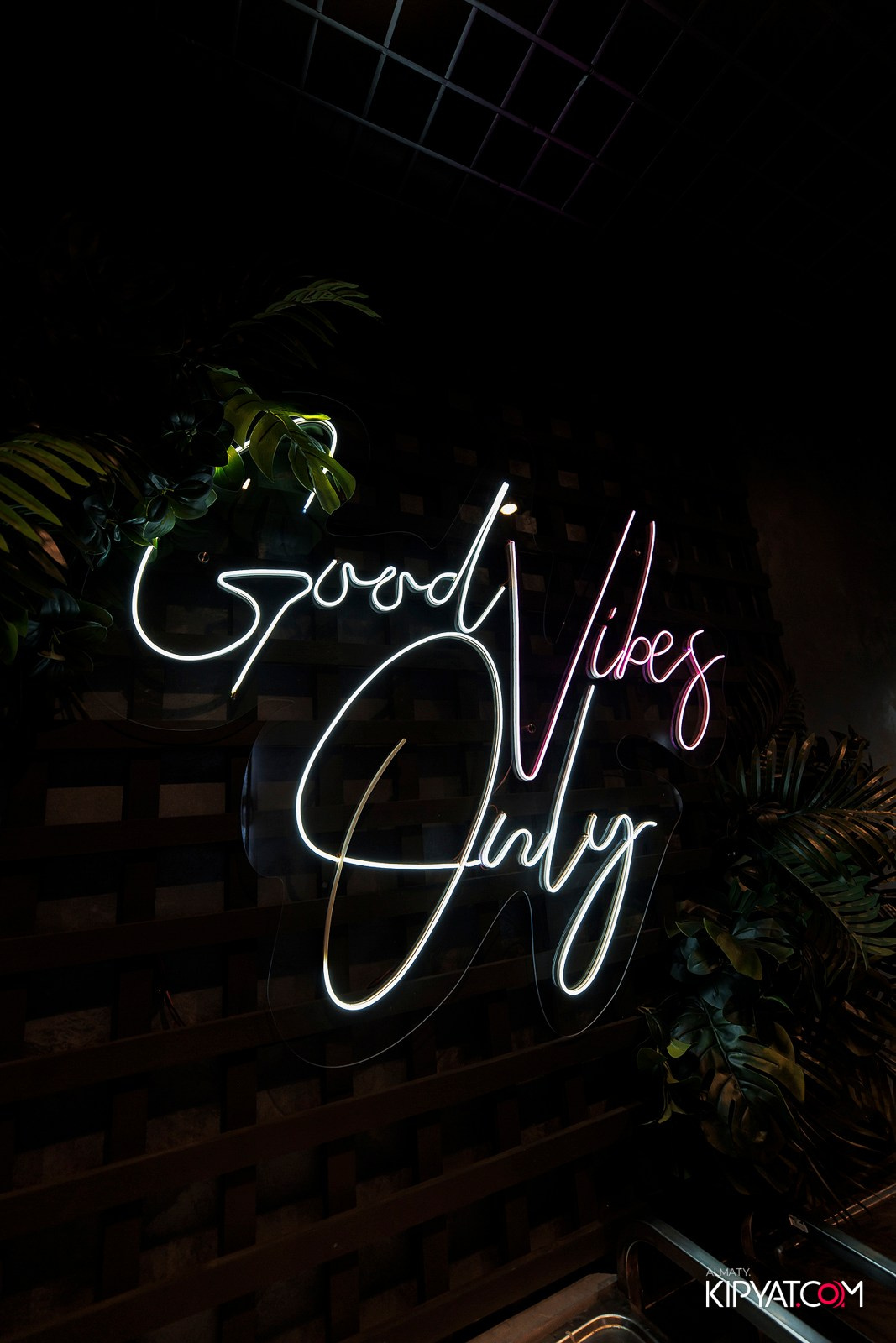 ДОРОГАЯ. Я НЕ ПИЛ. КИПЯТКОМ АЛМАТЫ! Фотосъемка мероприятий в Алматы