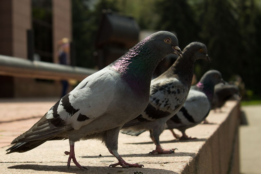 Street art. Фотостудия Алматы. Фотосъемка Алматы. Фотосессия Алматы. Фотокурсы. Обучение фотографии. Аренда студии