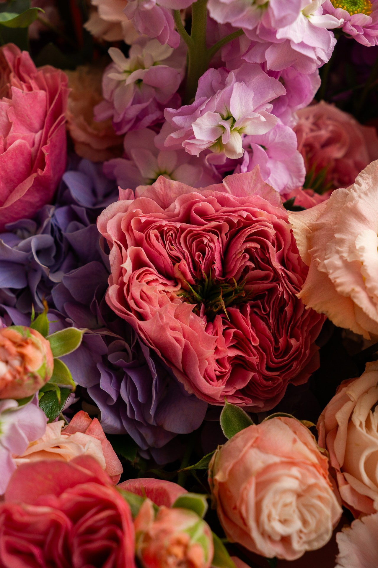 Контент для «Цветочной лавки». Фотограф в Екатеринбурге Яна Круташова