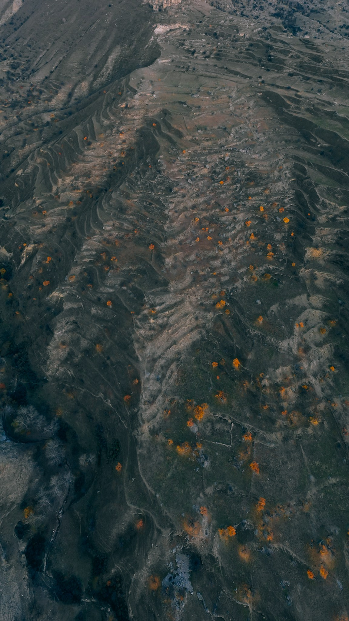 Дагестан 2023. Человек с фотокамерой