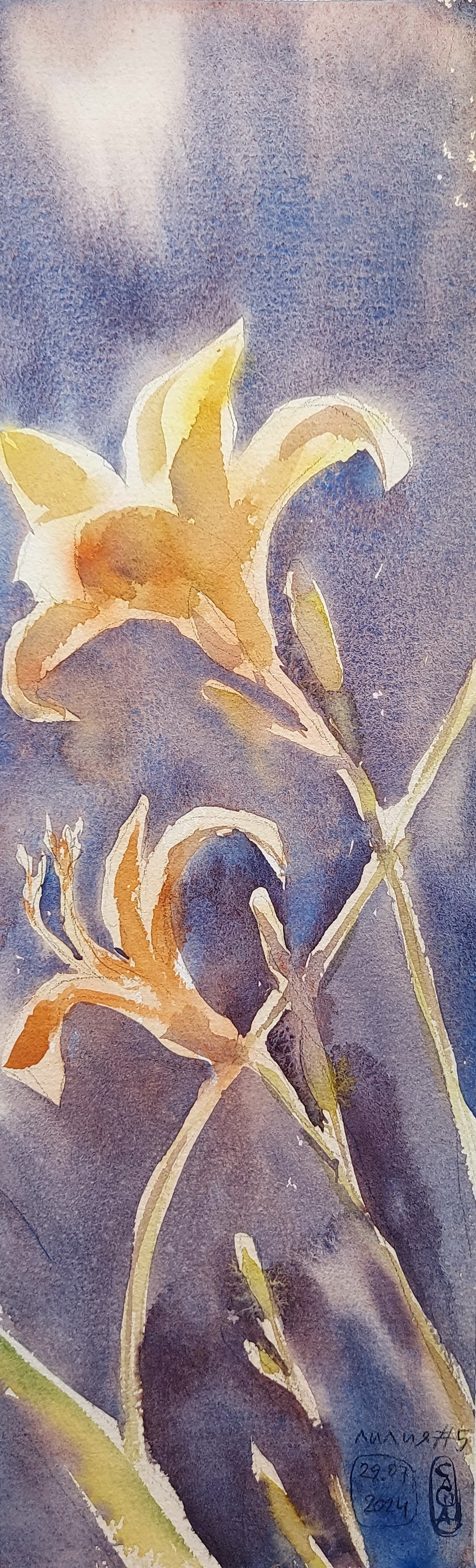 Flowers. Alexander Manaenkov | Watercolor Artist from Siberia