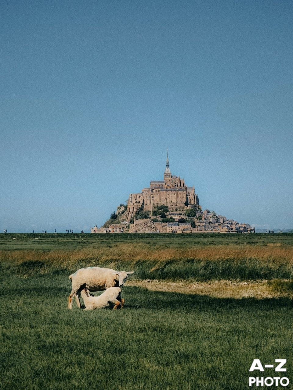 #ФОТОНЕДЕЛИ 20.04.2026. Женский семейный фотограф Тула Москва Захарова Анна