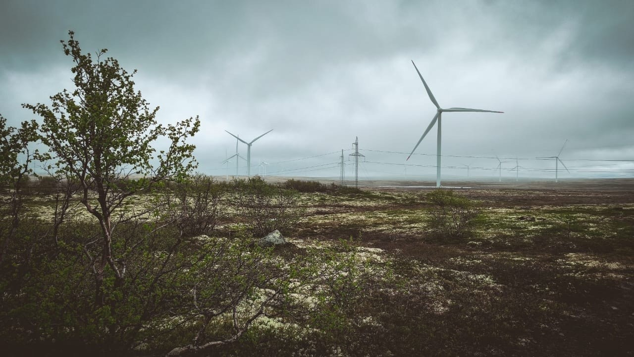 Мурманск | 20-22.06.2025. Галерея Фантим