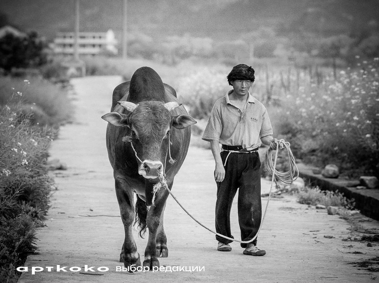 Выбор редакции конкурса Artkoko Portrait Awards 2026. Авторские стильные фотокартины