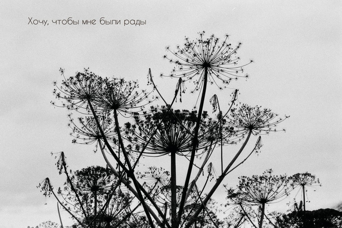 Пленочные страсти. Фотограф — Маслеников Константин