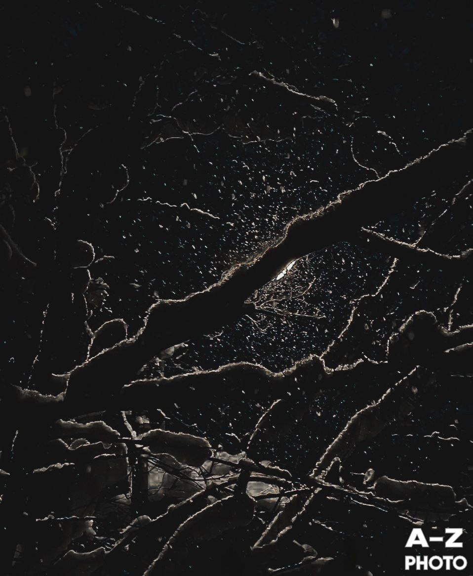 #ФОТОНЕДЕЛИ 12.01.2026. Женский семейный фотограф Тула Москва Захарова Анна