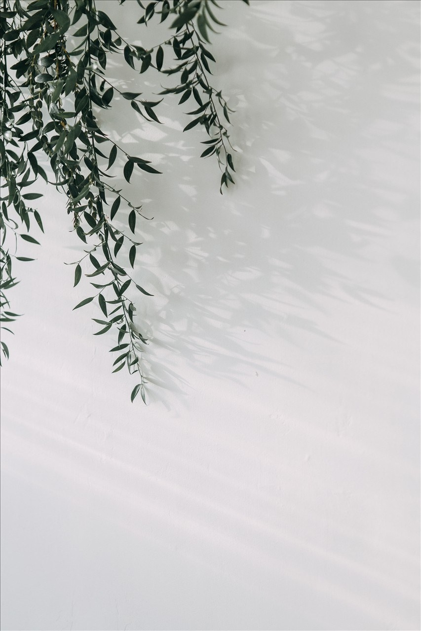 Дыхание весны