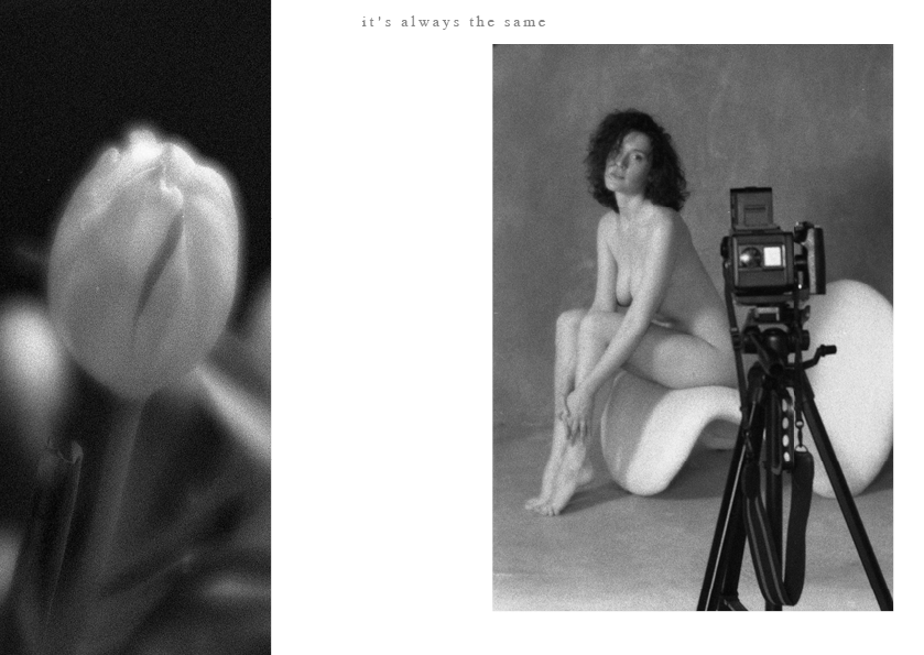 See into the trees — zine. Pictorial dream — fine art fil photography by Yaroslav Pavlov