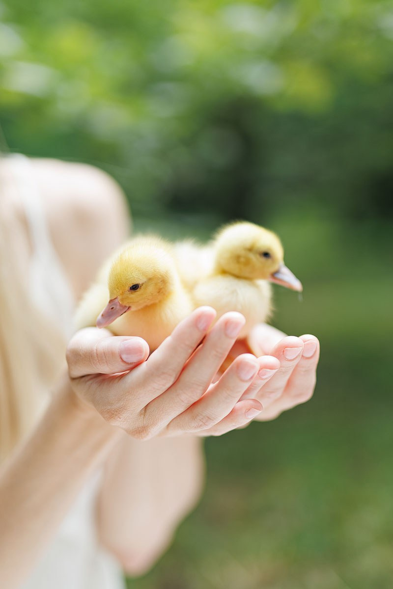 Семейная прогулка по парку Сокольники. Детский и семейный фотограф Домодедово