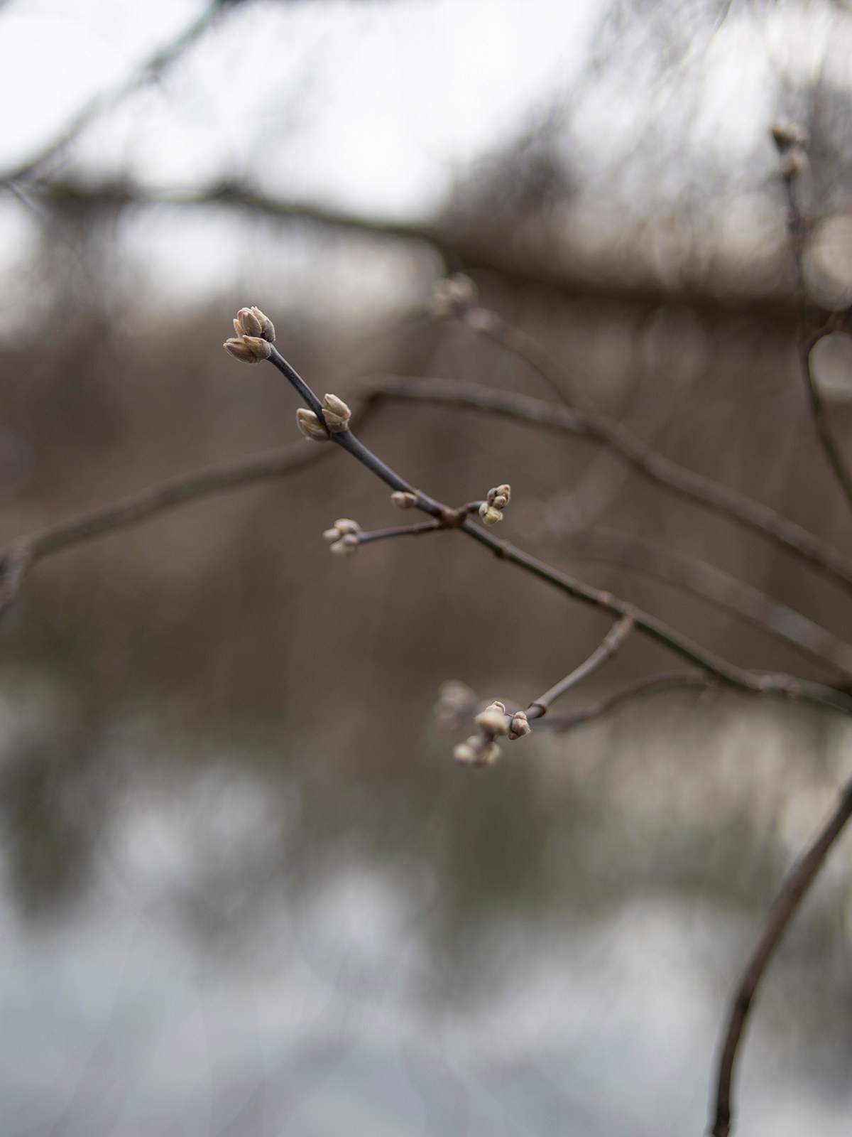 Красота в деталях. Монохромный фотограф