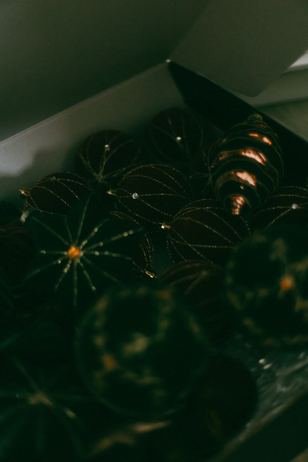 Денис и Оля. Фотограф Нижний Новгород